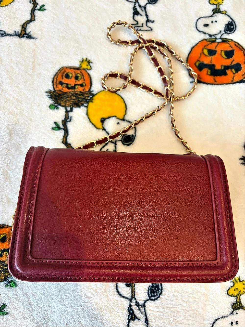 Badgley Mischka Crossbody Bag in Red with Gold-Tone Chain